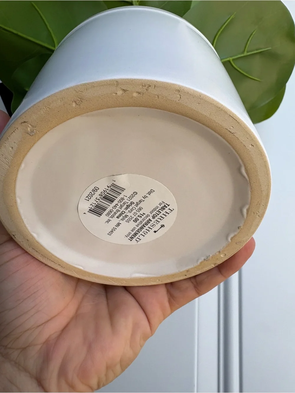 Artificial Fiddle Leaf Plant in Pot - Threshold: Lush Greenery, Ceramic Base